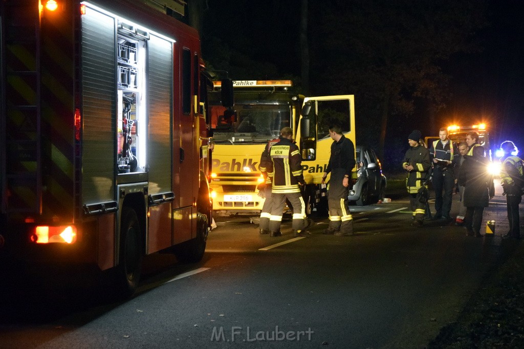 VU Koeln Dellbrueck Kalkweg Duennwalder Mauspfad P08.JPG - Miklos Laubert